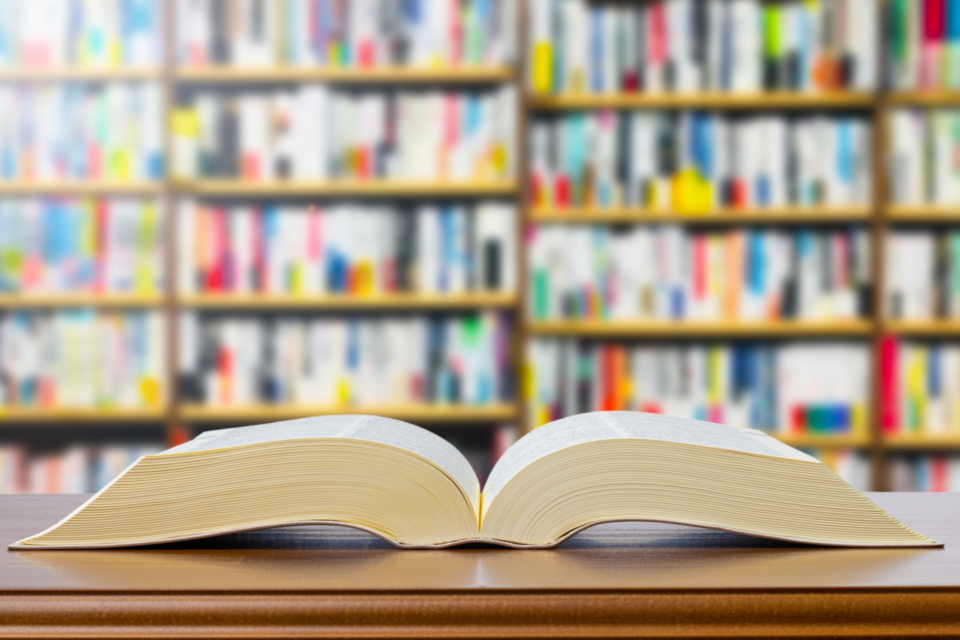 国語・漢字辞典(希望者のみ)